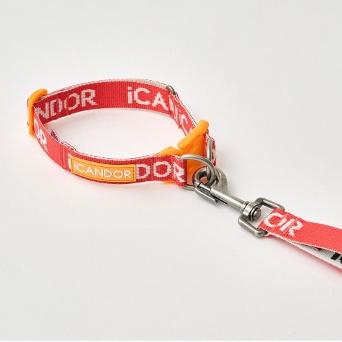 セット商品* 首輪 リード GENTLE COLLAR DUAL+GENTLE LEASH(1.6m)_signature