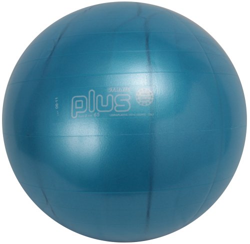 ダンノ(DANNO) ギムニクカラーボールPLUS 65cm D5422B 7,527円