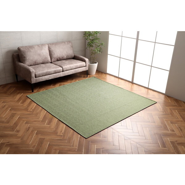 1293290126502 カーム 約3畳用 GN 200×250 メーカー直送