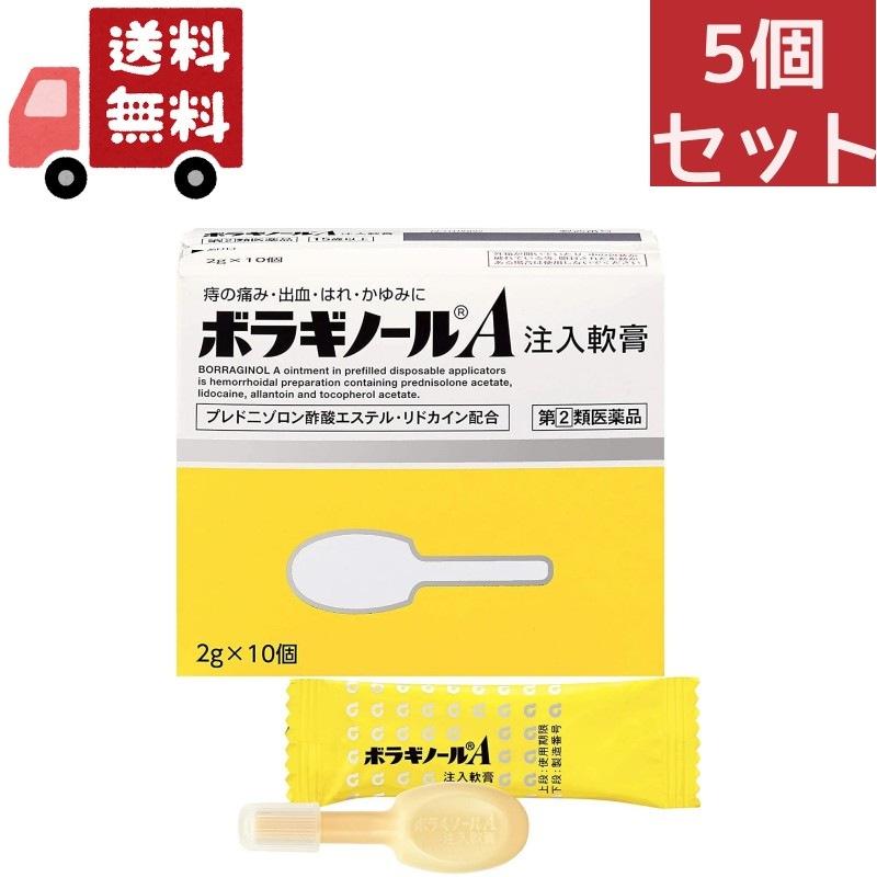 5個セット 【第(2)類医薬品】天藤製薬 ボラギノールＡ注入軟膏 ２Ｇ１０個入