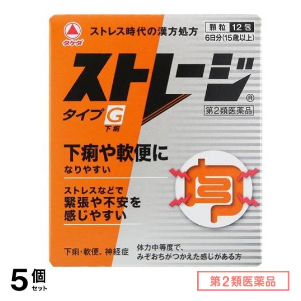 第２類医薬品 ストレージタイプG 12包 5個セット