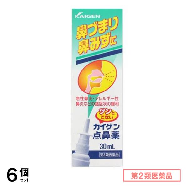 第２類医薬品 カイゲン点鼻薬 30mL 6個セット
