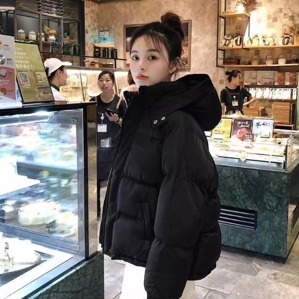 アウター ブルゾン ダウンジャケット 長袖 スタンドカラー デザイン ニュアンス ファスナー ポケット 中綿 2フード付き カラバリ スタイルアップ リラックス かわいい 大人可愛い きれいめ