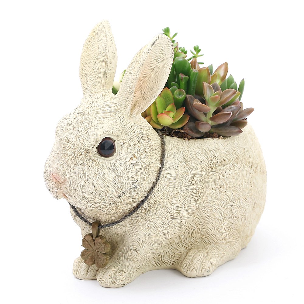 （観葉植物）多肉寄せ植え　動物達の贈り物　アンティーク調ラビット（１鉢）　多肉植物　おしゃれ　プレゼント　ＣＲＣ15―60―90―00―00