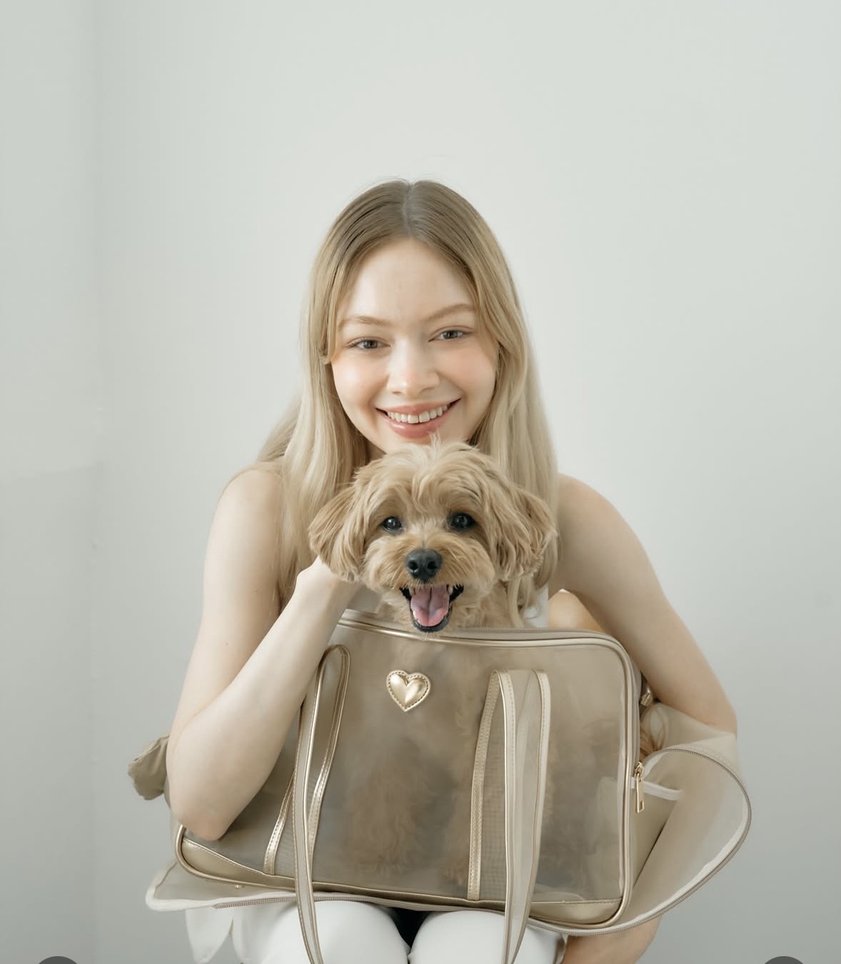 Qoo10] little comfo リトルコンフォ : 犬用品