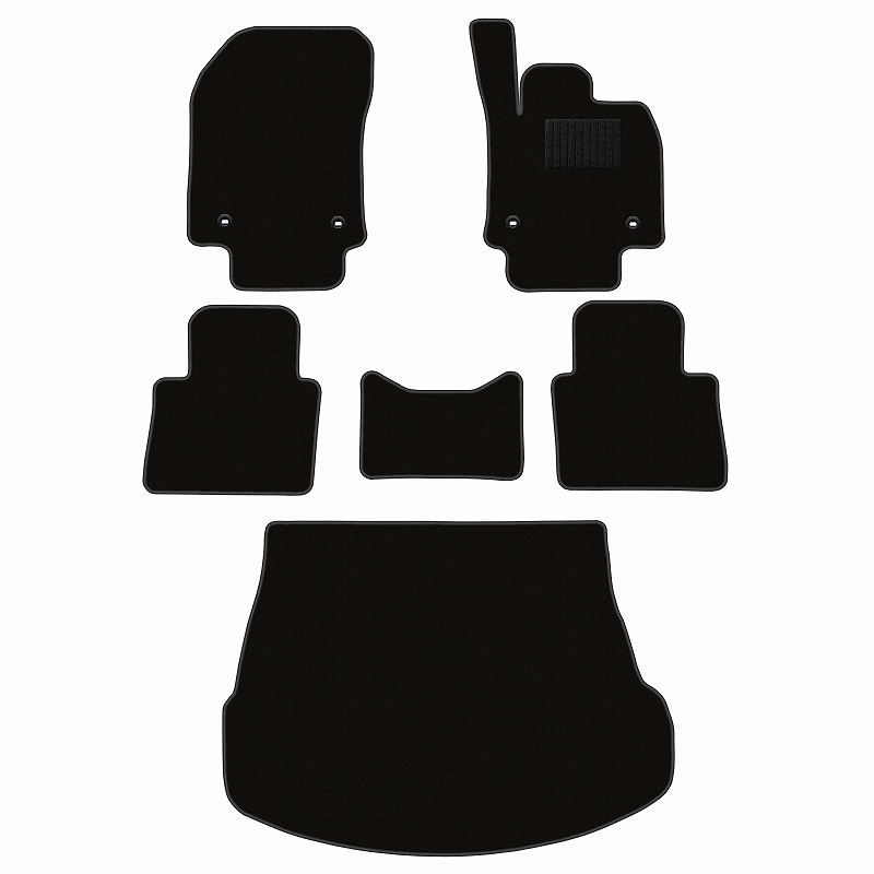 レクサス 新型 NX 20系 フロアマット + トランクマット (ラゲッジマット) [16色から選択]