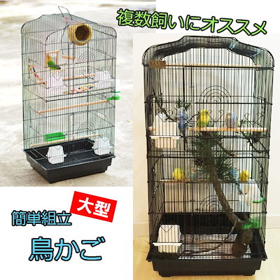 Qoo10 鳥かご バードパレス 組み立て式 バード ペット