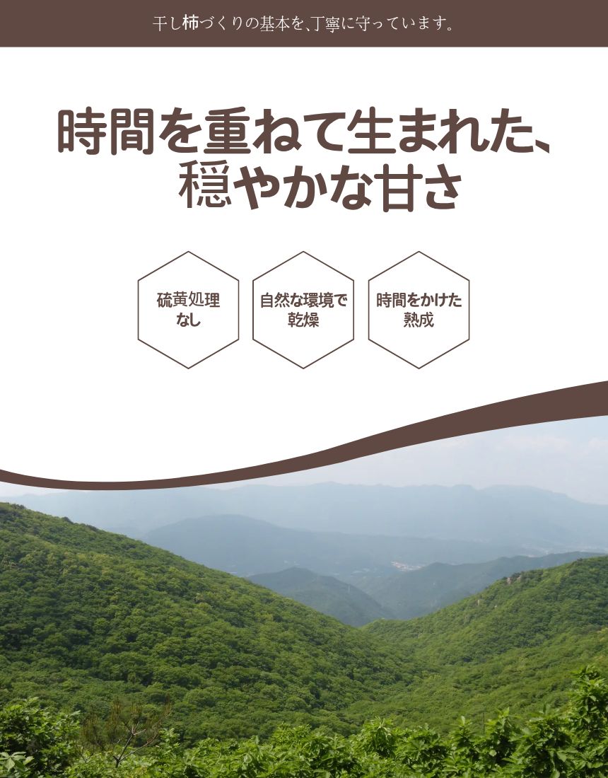 韓国 冬のおやつ ヌリヌン農夫 発酵干し柿 30個入り