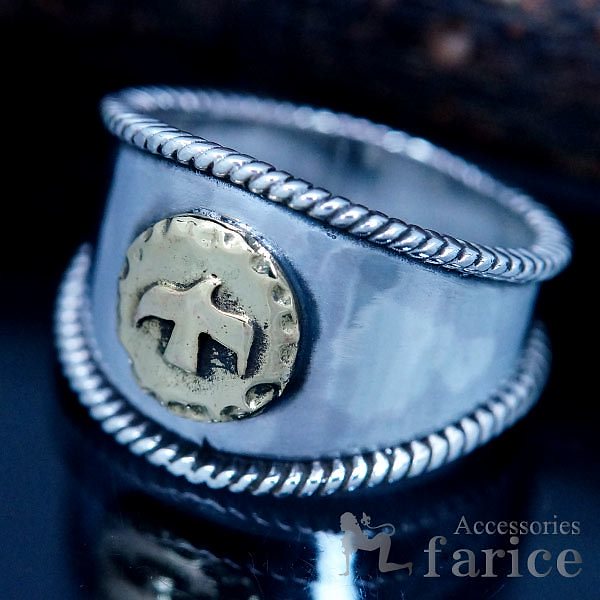 インディアンジュエリー イーグル 鷲 縄 イエローゴールド シンプル ネイティブアメリカン シルバー925 メンズ 指輪 リング