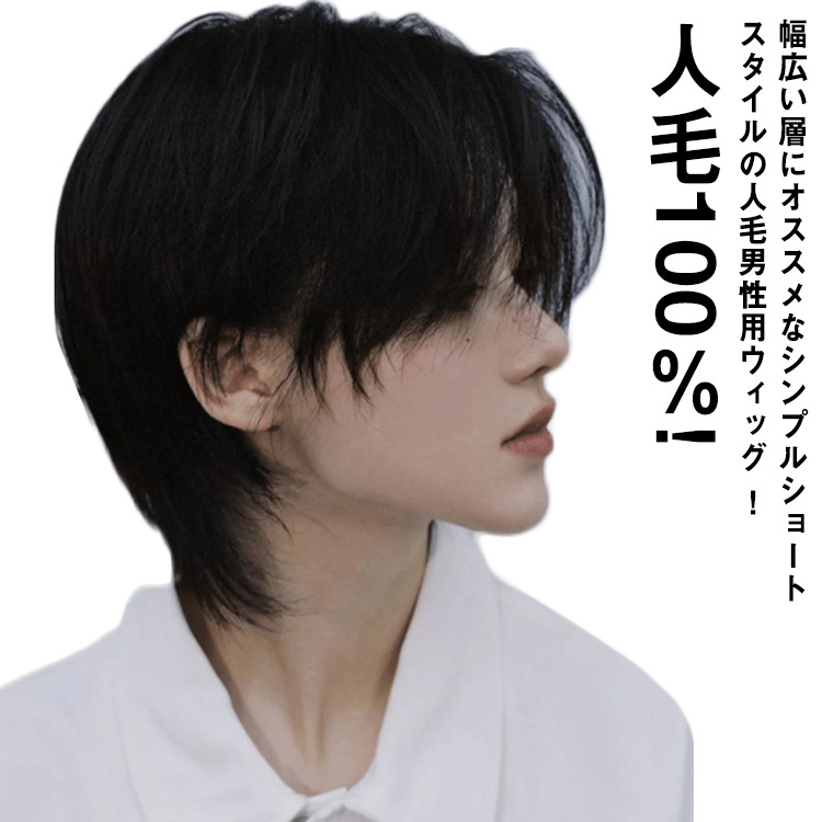 人毛100％! フルウィッグ ウイッグ メンズ 男性 かつら 自然 ビジネス用 人毛 ナチュラル ショート カツラ 黒髪 短髪 医療用 白髪隠し ボリュームアップ 普段使い 軽量 通気性 ヘアスタイリ