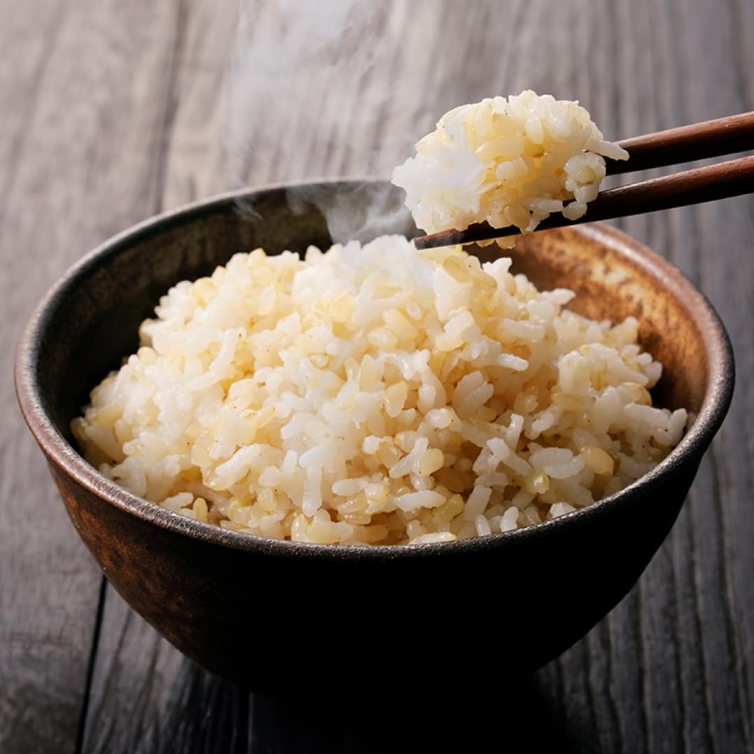 ロカゴ 玄米ごはん 120g×20個 糖質28％オフ カロリー19％オフ 新潟県産玄米使用 ラベルレス 無地パッケージ