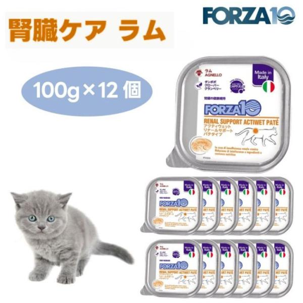 Forza10 アクティウェット リナールサポート 腎臓ケア ラム パテタイプ 100gx12個 キャットフード 猫 餌 療養食 フォルツァ10