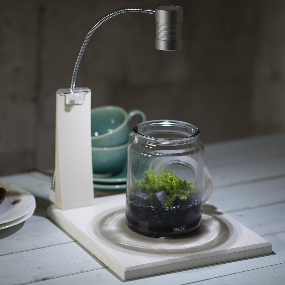 （観葉植物）ＧＥＸ　ボトリウム　ネイチャーセット　ベース＆ライト付　ブラック　ＣＲＣ10―11―03―50―20