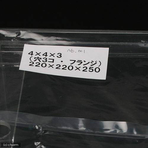 水槽　アクリル水槽　ラクシス　Ｎｏ．１　（２２０X２２０X２５０ｍｍ）　ＣＲＣ10―11―04―10―00