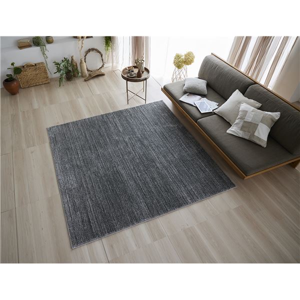 スミノエ 洗える ラグ エクリュ 約幅190x長さ190cm グレー 日本製