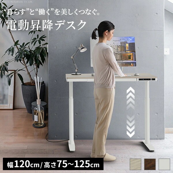 電動昇降デスク 幅120cm テーブル ワークデスク『電動昇降デスク SD』高さメモリー機能 高さ調整 USB付き 電動昇降テーブル PCデスク パソコンデスク オフィスデスク E4A-CF2