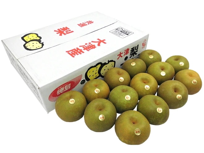 =幸水梨= 秀品 大玉2L-4L 12-16玉 約5kg 産地厳選 予約 8月以降