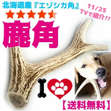 Qoo10 犬のおもちゃ 角王 つのおう ペット