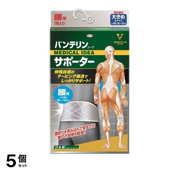 バンテリンコーワサポーター 腰用 男女兼用 大きめLサイズ 1枚入 (シャイニンググレー) 5個セット