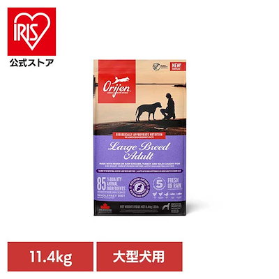 ライドオンディア / みっとめるへん社 送料無料 ライドオンディア &frasl; みっとめるへん社