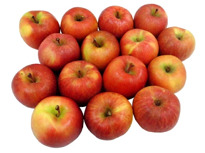 =青森県 蜜だらけりんご こみつ= 訳あり 大きさおまかせ 約3kg こうとくりんご 予約 12月以降