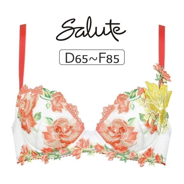 ワコール サルート 11G ブラジャー単品 P-upタイプ DEFカップ アンダー65/70/75/80/85cm BTJ411