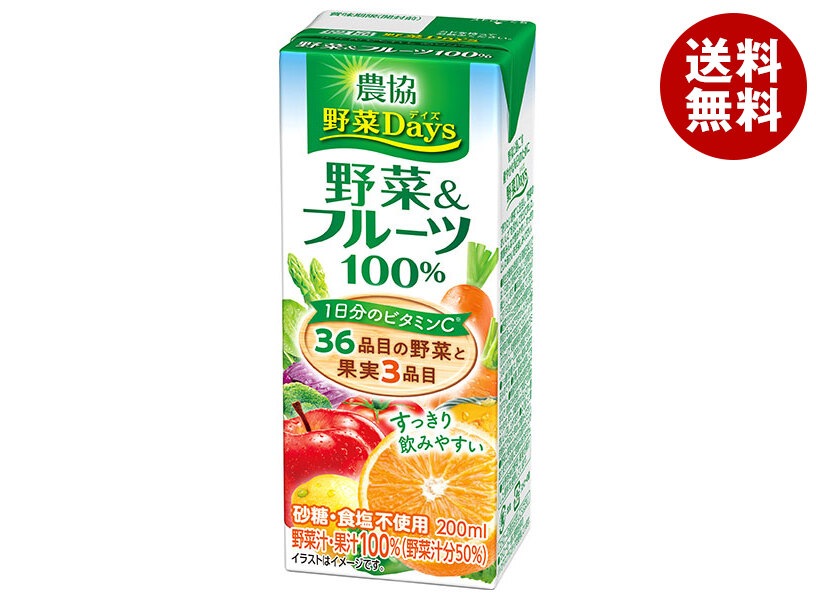 雪印メグミルク 農協 野菜Days 野菜＆フルーツ100% 200ml紙パック＊18本入＊(2ケース)