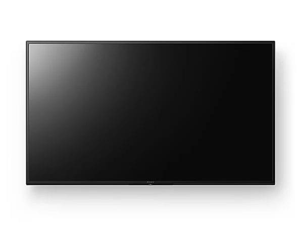 ソニー SONY 50V型 4K液晶モニター 業務用ブラビア 4Kディスプレイ FW-50EZ20L