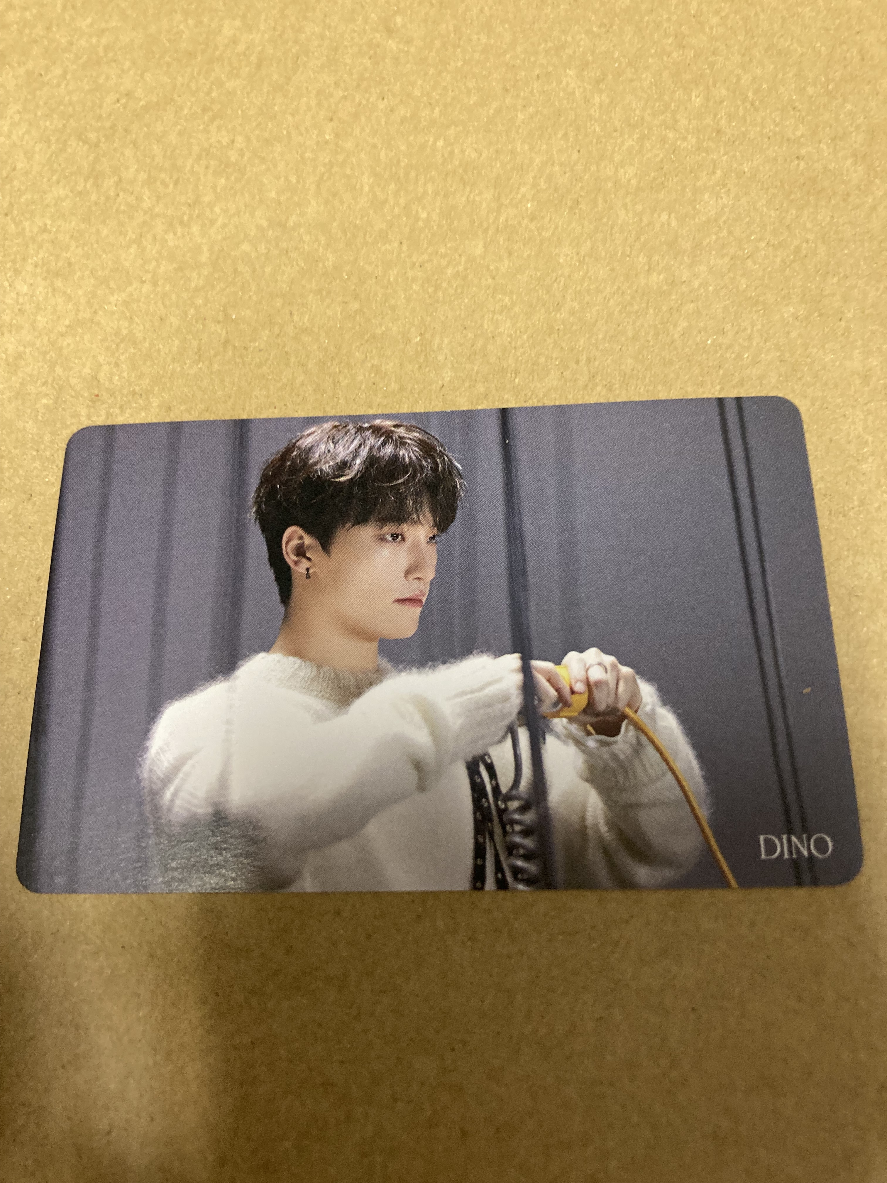 SEVENTEEN FACE THE SUN HMV特典カード DINO 新品