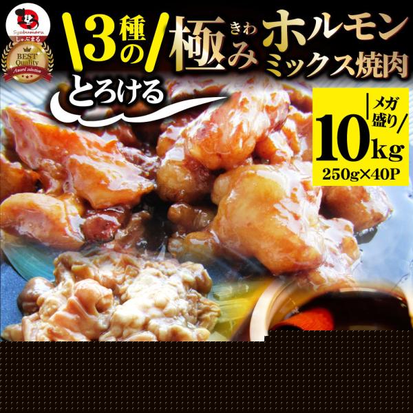 三種 ホルモン ミックス 焼肉 10kg（250ｇ×40パック）秘伝 タレ漬け バーベキュー BBQ 肉 焼くだけ 冷凍キャンプ