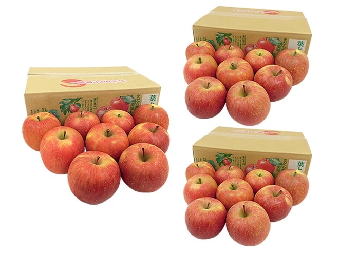 青森産 JAつがる弘前 =葉とらず太陽ふじりんご= 27-39玉 約9kg（約3kg x3箱）予約 1月以降