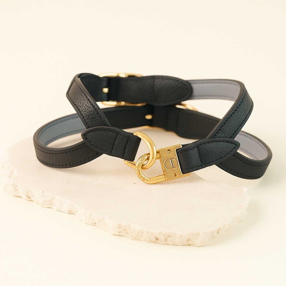 VELOA HARNESS ベロアハーネス　（ブラック）