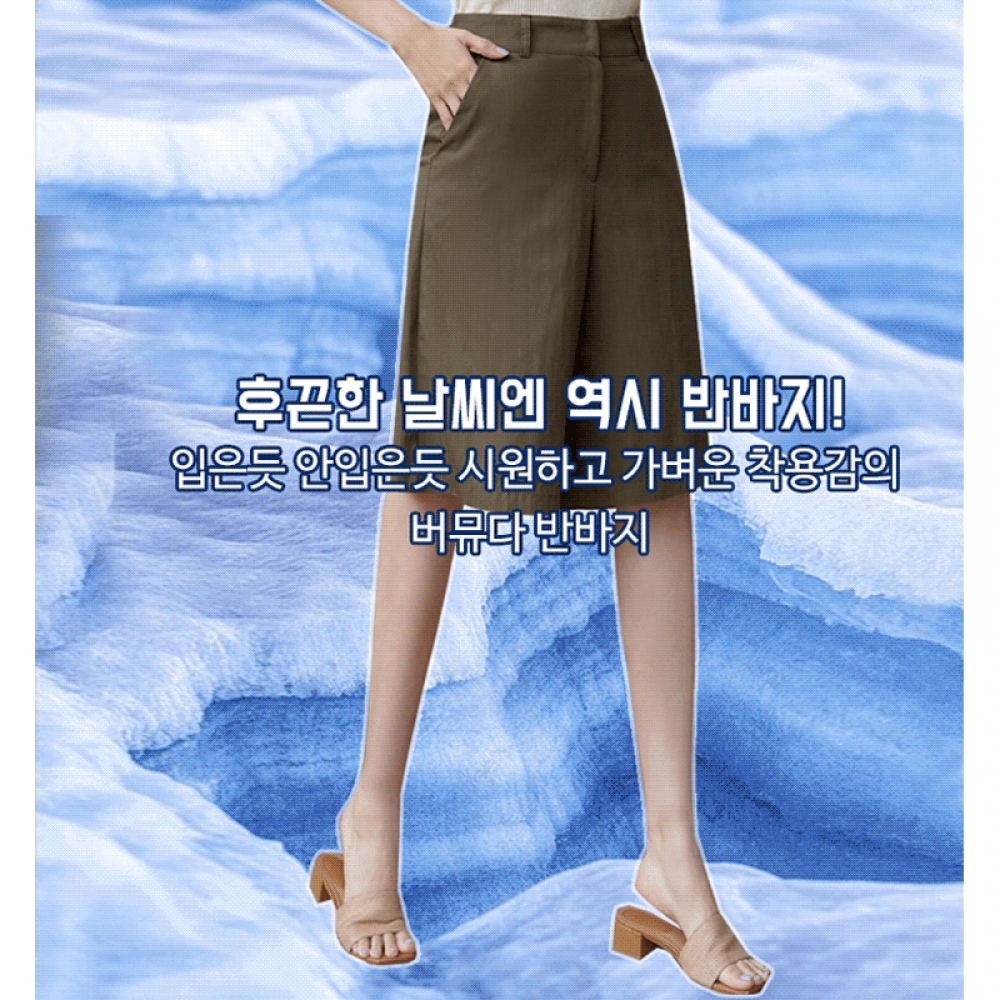 クリック&ファニー クラシックカラー バミューダショーツ S,M,Lサイズ