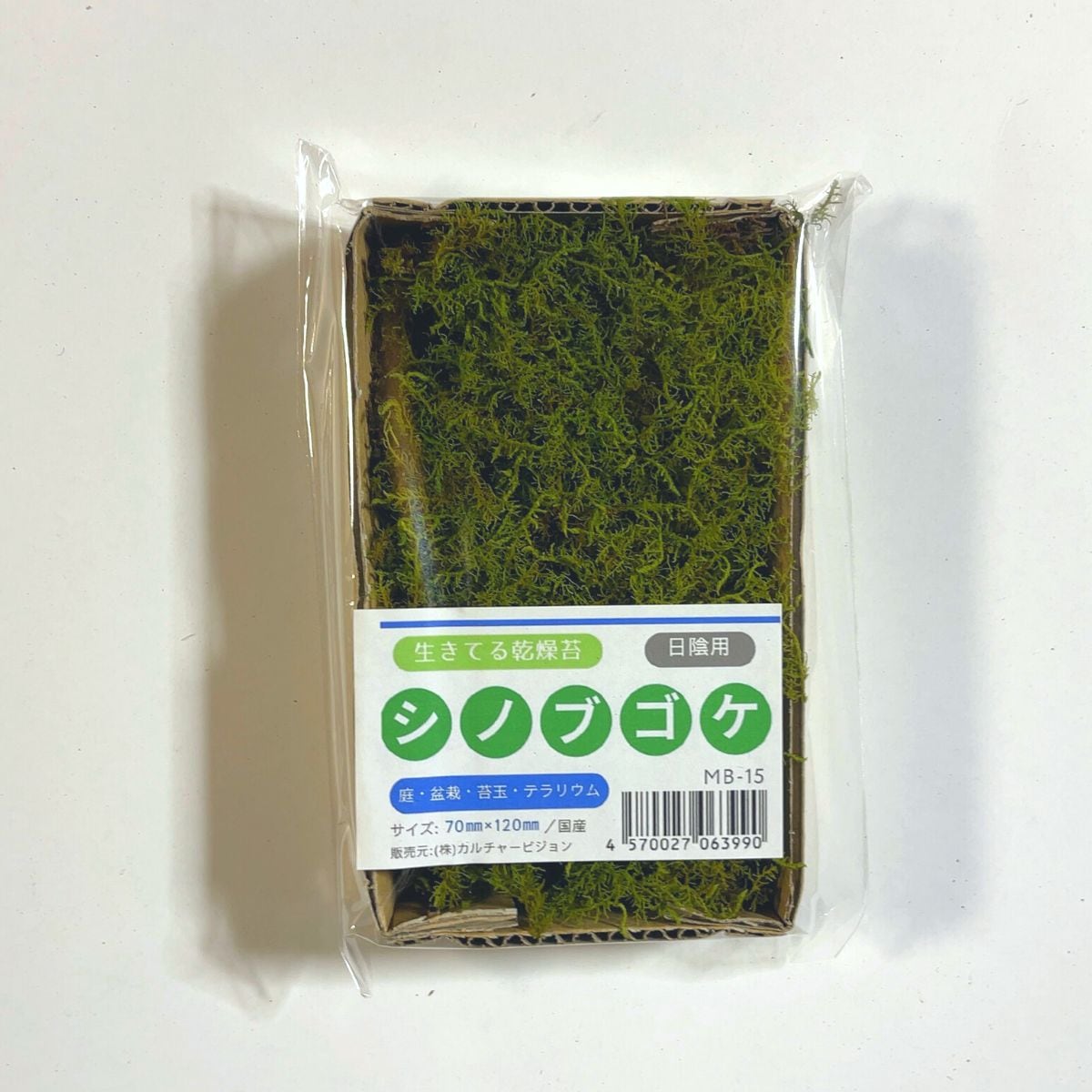 シノブゴケ 70×120mm【6個セット】苔玉 庭園 造園 盆栽 苔 ジオラマ テラリウム コケリウム 壁面 屋上緑化 インテリア グリーン モスパネル モスウォール 花材 日本製