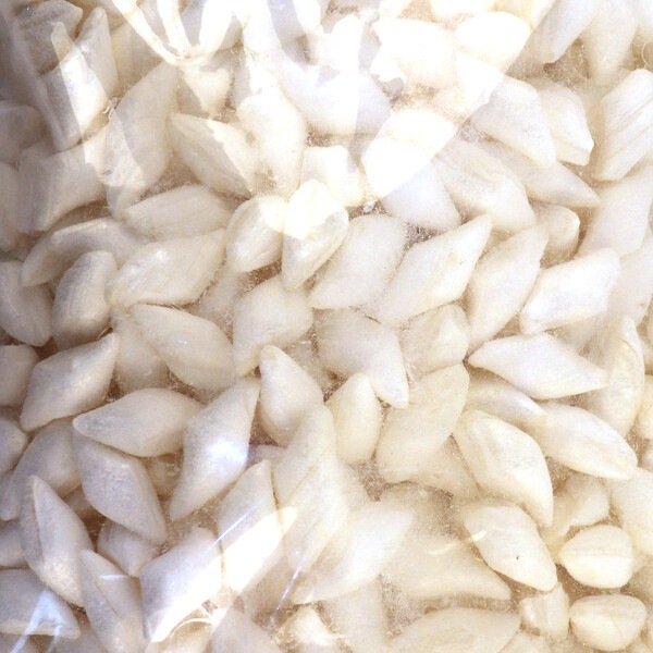 EJA-家宝 ハッカ飴 3.5kg X2/大容量 店用 小分け用クッキー飴乾パン