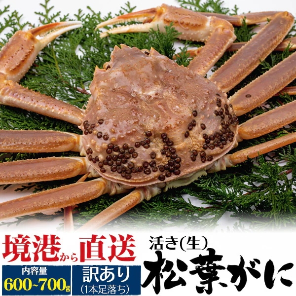 訳あり境港から直送 未冷凍 活 松葉ガニ(ズワイガニ) 約600-700g 2杯 足落ち 1本不足