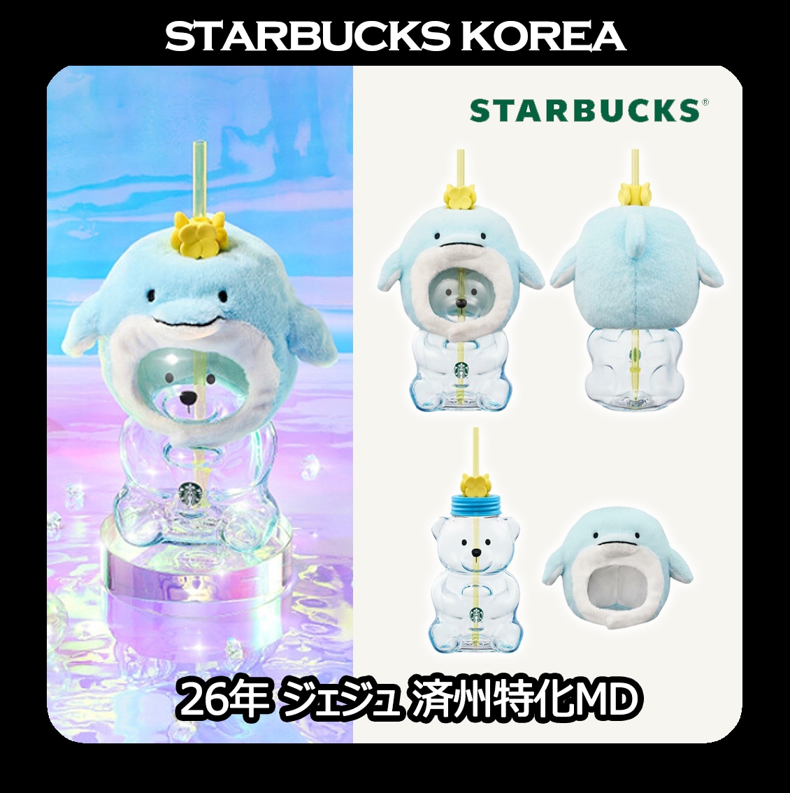 [韓国スターバ] 2026 済州特化MD Jeju Dolphin Bearista Glass Cold Cup 591ml