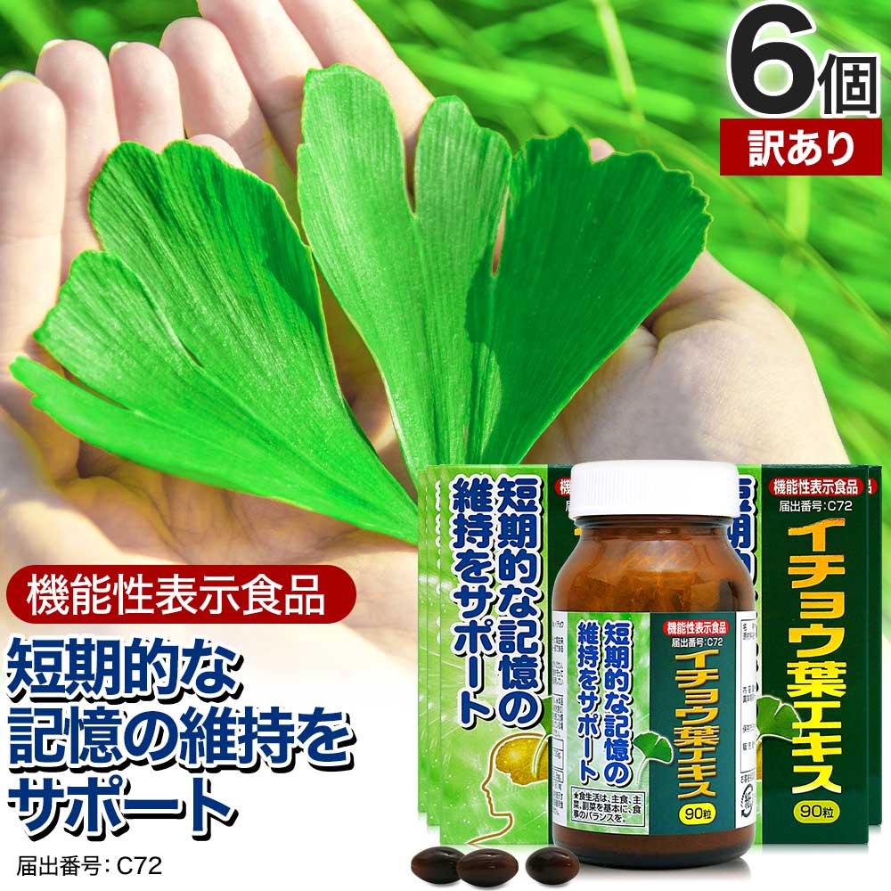 訳あり 機能性表示食品イチョウ葉エキス 90粒*6個 約180日分 賞味期限2025年11月のみ イチョウ葉サプリ イチョウ葉エキス サプリメント サプリ