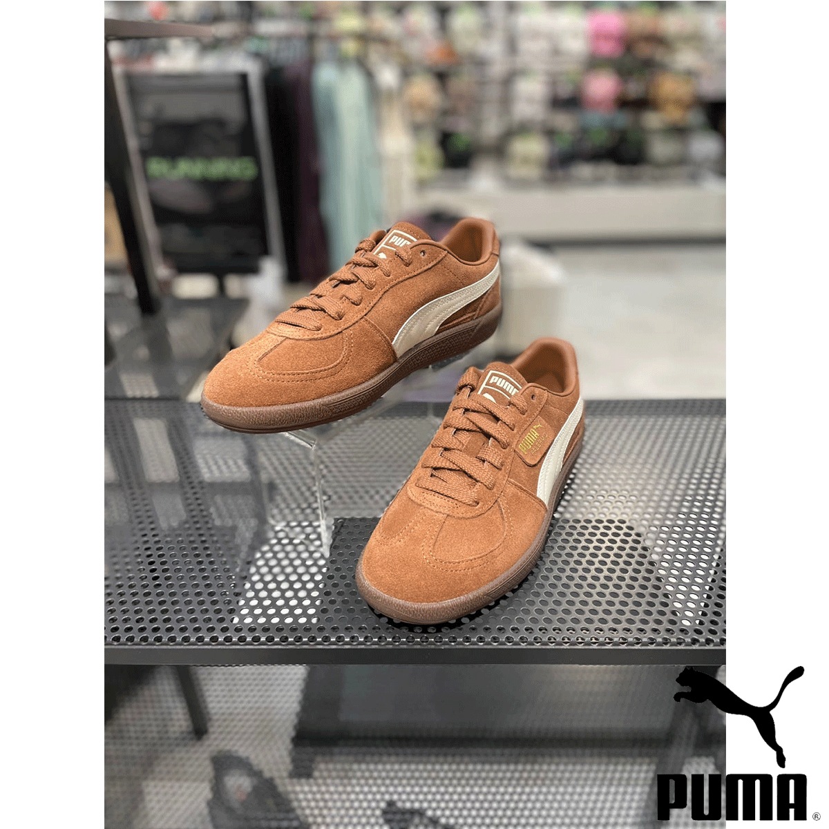 PALERMO BROWN MUSHROOM SUGARED ALMOND 396463 56