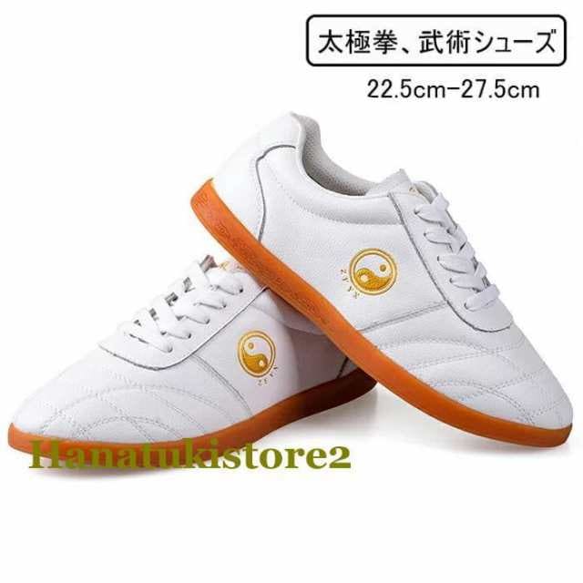 緊急SALE!!!2枚1OO円OFF！ カンフーシューズ 太極拳シューズ 太極拳 太極拳用シューズ 革 22.5cm-27.5cm 功夫靴 カンフー用靴 武術 拳法 トレーニング シューズ メンズ レ