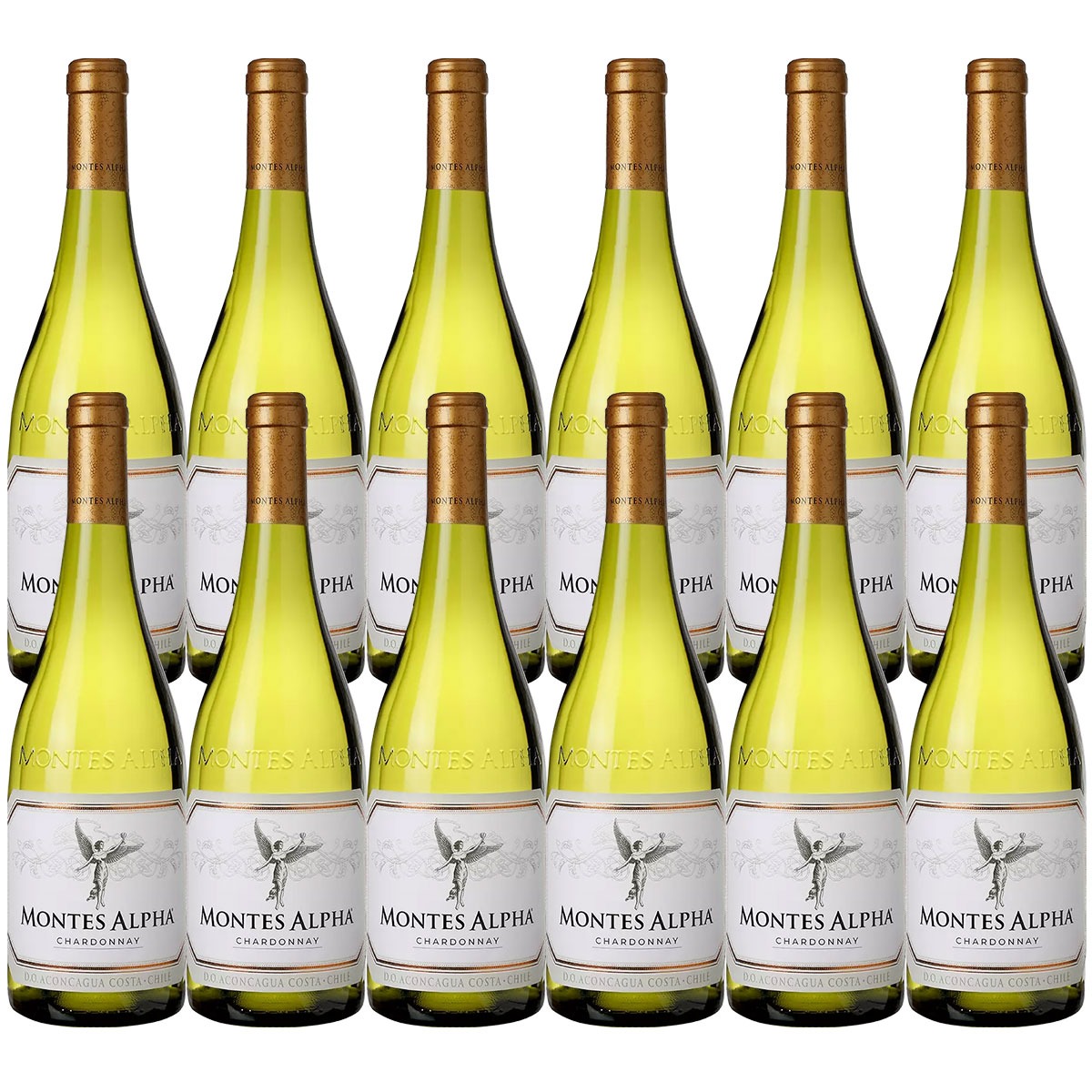 モンテス アルファ シャルドネ 750ml×12本 ［白/辛口/チリ］