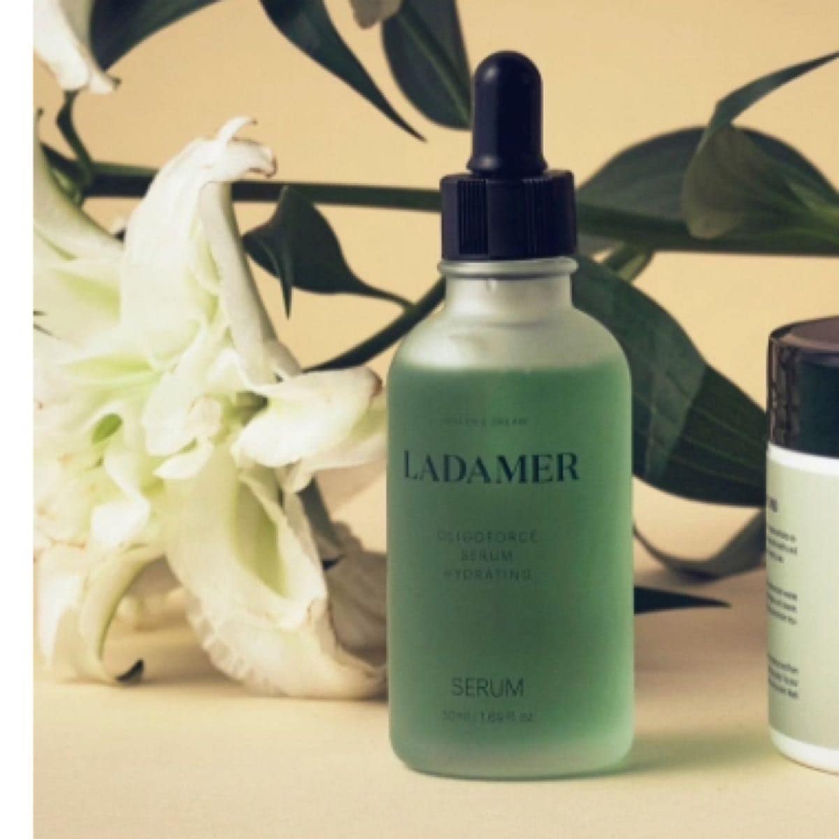 【２本セット】LADAMER ラダメール セラム 50ml 箱なし　正規品