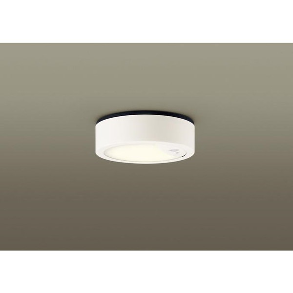 シーリングライト LED 軒下用 電球色 照明 天井 LSEWC2087LE1