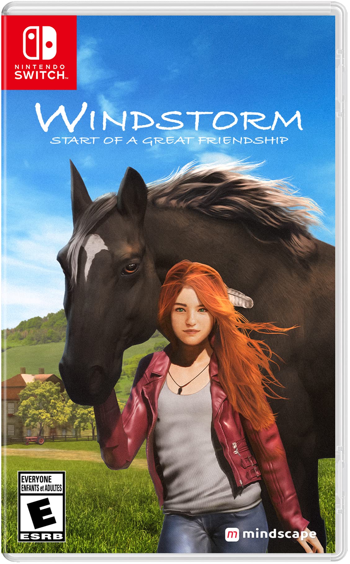 全国送料無料 Windstorm: Start of a Great Friendship (輸入版:北米) Switch