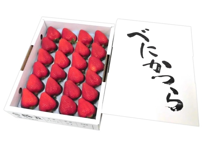 徳島県勝占産 =べにかつら（さちのか） =大粒 16-28粒 化粧箱入り いちご 予約 1月中旬以降