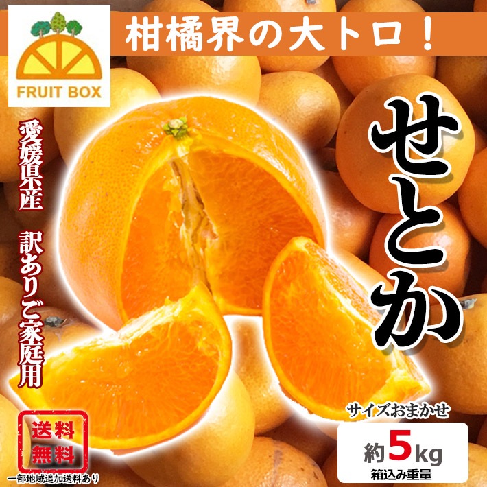 せとか 家庭用5kg 愛媛県産 ※北海道、東北、沖縄への発送不可 - 果物