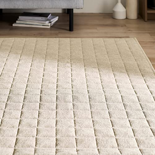 アイリスオーヤマ 1日中ゴロゴロしたくなる寝具用メジャー生地を採用したキルトラグ 185×240cm ベージュ ご自宅で洗濯可能 キルティング加工なのでお掃除ラクラク 折り畳み可能で使わない時は省スペ