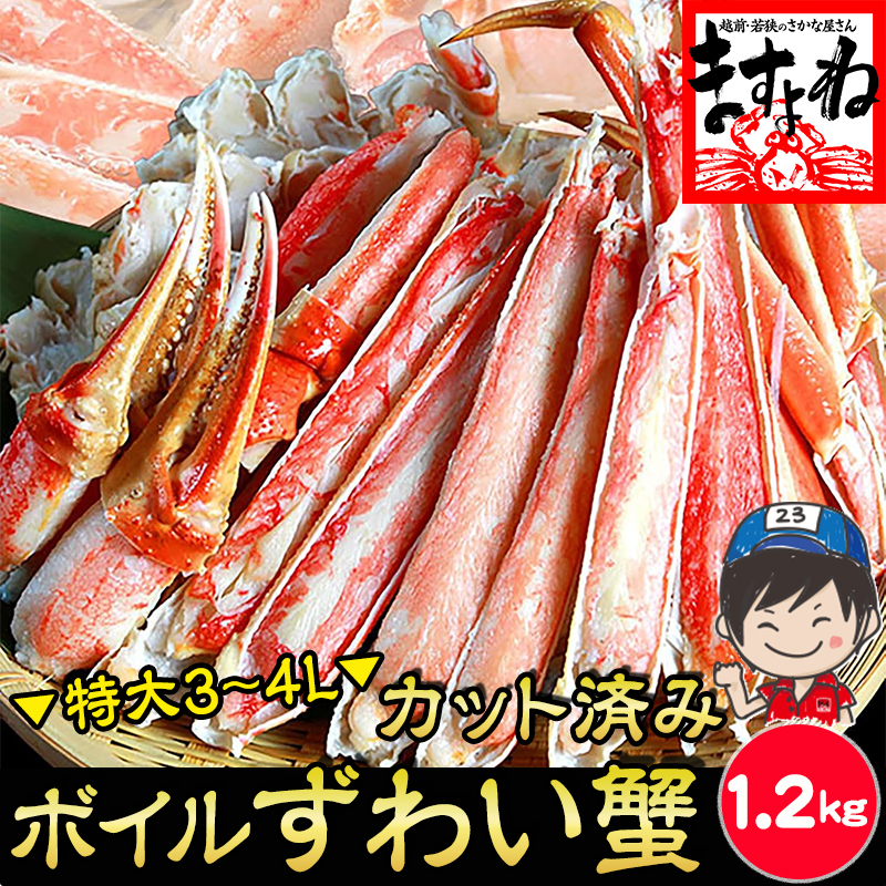特大3～4Lサイズ厳選!!カット済みボイル本ずわい蟹 1.2kg 業界でも異例の殻Wカットボイルズワイ蟹【ギフトのし対応】