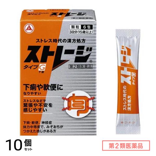 第２類医薬品 ストレージタイプG 6包 10個セット