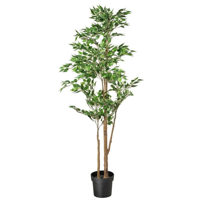 FEJKA フェイカ 人工観葉植物 - 室内/屋外用 ベンジャミン 21cm
